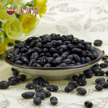 Nice price of black kidney bean 2016 crop